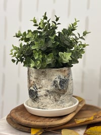 Image 1 of Birch bark Planter (# 5)