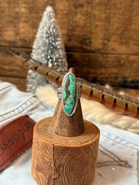 Image 1 of The Sage Canynon