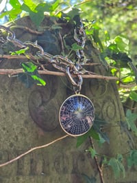 Image 3 of Spiked - Arachne Chain - preserved web  D