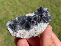 Image 8 of Fluorite On Matrix Specimen #1930