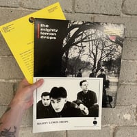The Mighty Lemon Drops – World Without End - Promo LP with Press Packet! 