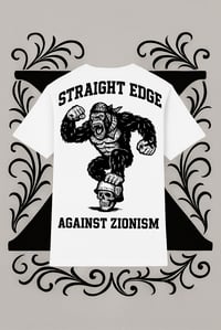 Image 1 of STRAIGHT EDGE against Zionism