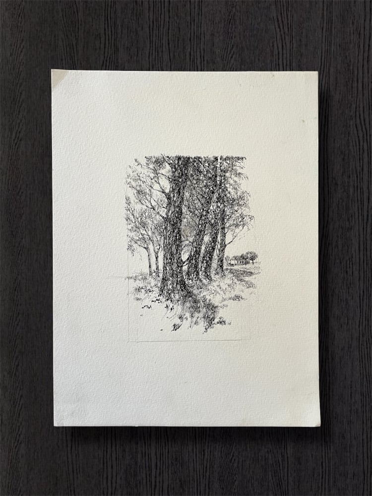 Image of VINTAGE DUTCH DRAWING: LANDSCAPE #8