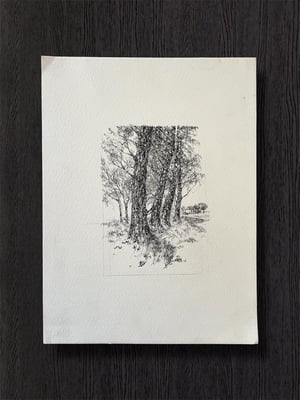 Image of VINTAGE DUTCH DRAWING: LANDSCAPE #8