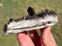 Image 5 of Smoky Quartz Crystal Points Cluster | Brazil #2971