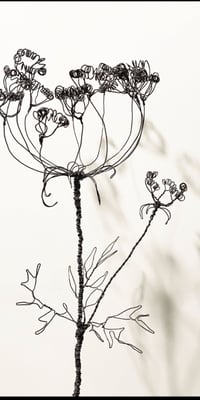 Image 3 of Wire Seed Head Sculpture