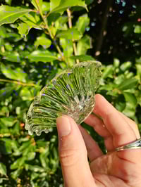 Image 3 of Medium Scalloped Dish #1