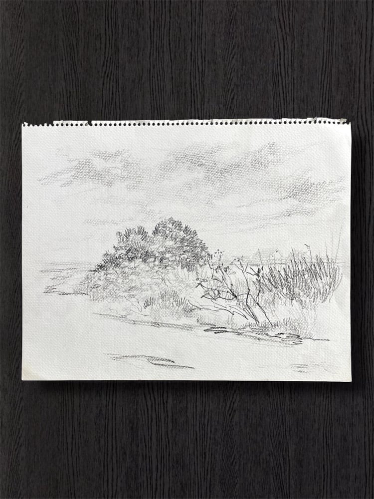 Image of VINTAGE DUTCH DRAWING: LANDSCAPE #12