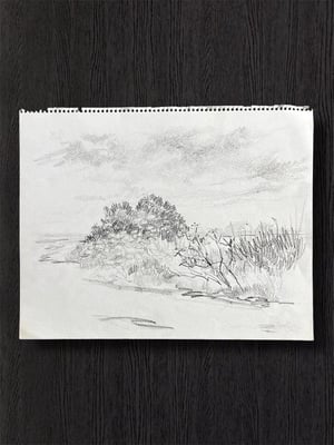 Image of VINTAGE DUTCH DRAWING: LANDSCAPE #12