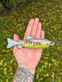 Cutthroat Trout 