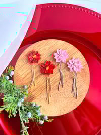 Image 2 of Poinsettias