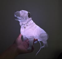 Image 3 of Pet lamps