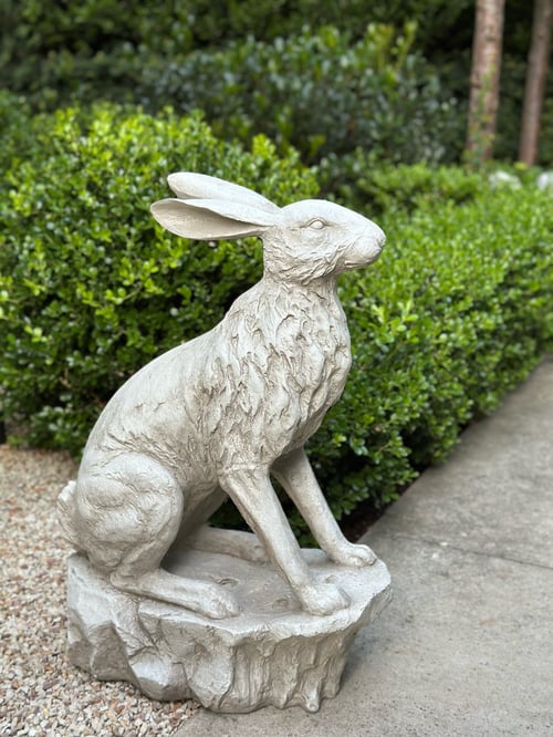 Image of Entrance Hare 