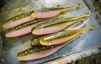 Image 1 of 4” PINPOINT - RAINBOW TROUT