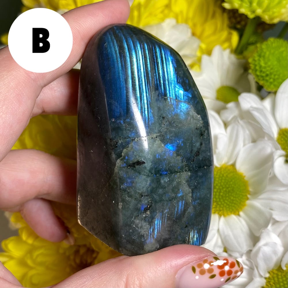 Image of Labradorite Freeform (small)