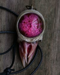 Image 16 of Magenta Bloom Snaggletooth Pendant OOAK