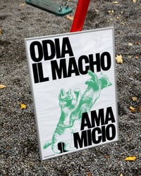 ODIA IL MACHO AMA IL MICIO.