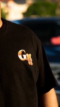 Image 2 of H TOWN DOES IT BEST 