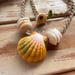 Image of Hawaiian sunrise or moonrise shell necklace with golden pukas and a locking seaglass clasp