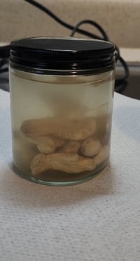 Image 2 of SJE FOOD GRADE GINGER ROOT DROPS Good for weight loss, bloating,upset stomach, and nausea