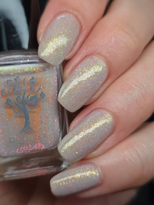 Image of Little box of Horrors 