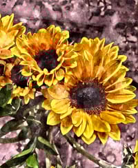 Image 1 of Cheerful Mourning