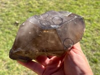 Image 14 of Smoky Quartz Enhydro Multi Terminated Crystal | Zambia #2966 