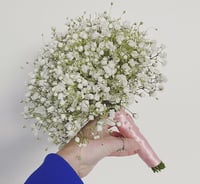 Image 1 of  Gypsophila bouquet 