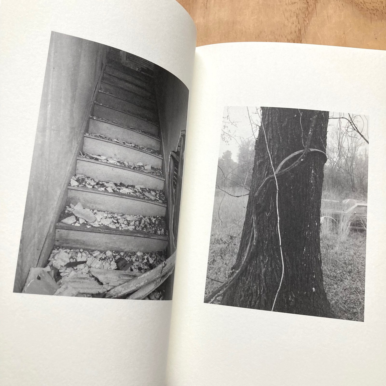 Bryan Schutmaat - County Road (Signed) | Photobook Junkies