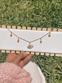 Image 5 of Mother of Pearls