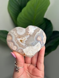 Image 4 of HQ FLOWER AGATE HEART -MADAGASCAR- B