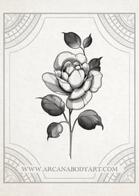 Image 3 of Roses