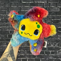 Image 1 of MUNCHKIN- Reeflet