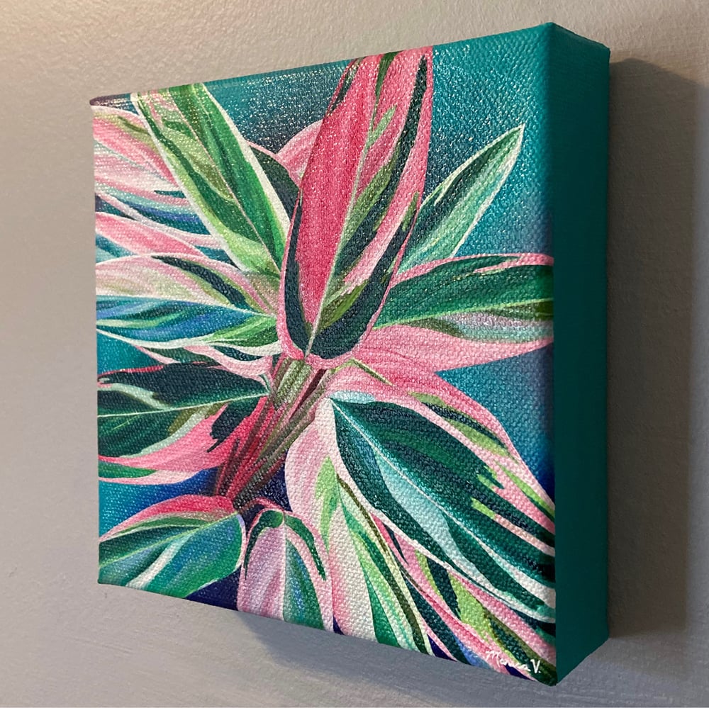 “Stromanthe Triostar” Original Painting