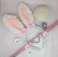 Fuzzy Bunny petplay Set