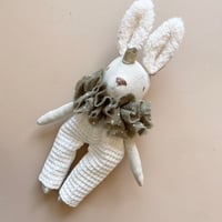 Image 3 of LAPIN MINIATURE PETIT PRINCE