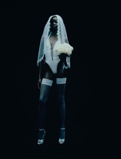 Image of LOVELACE BODY