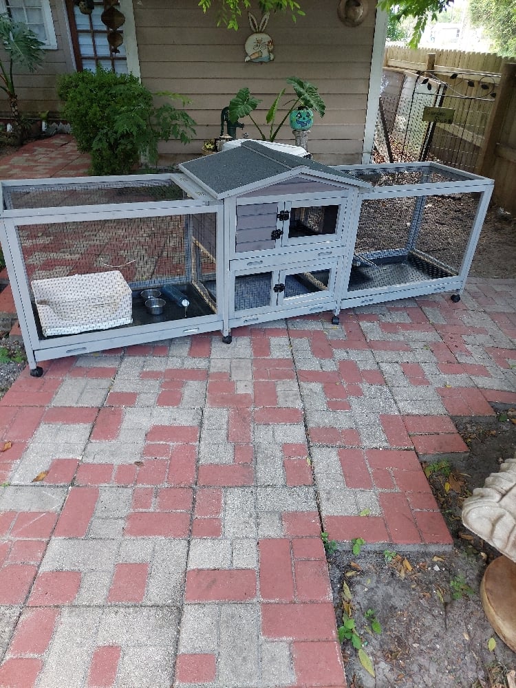 Image of Large hutch 