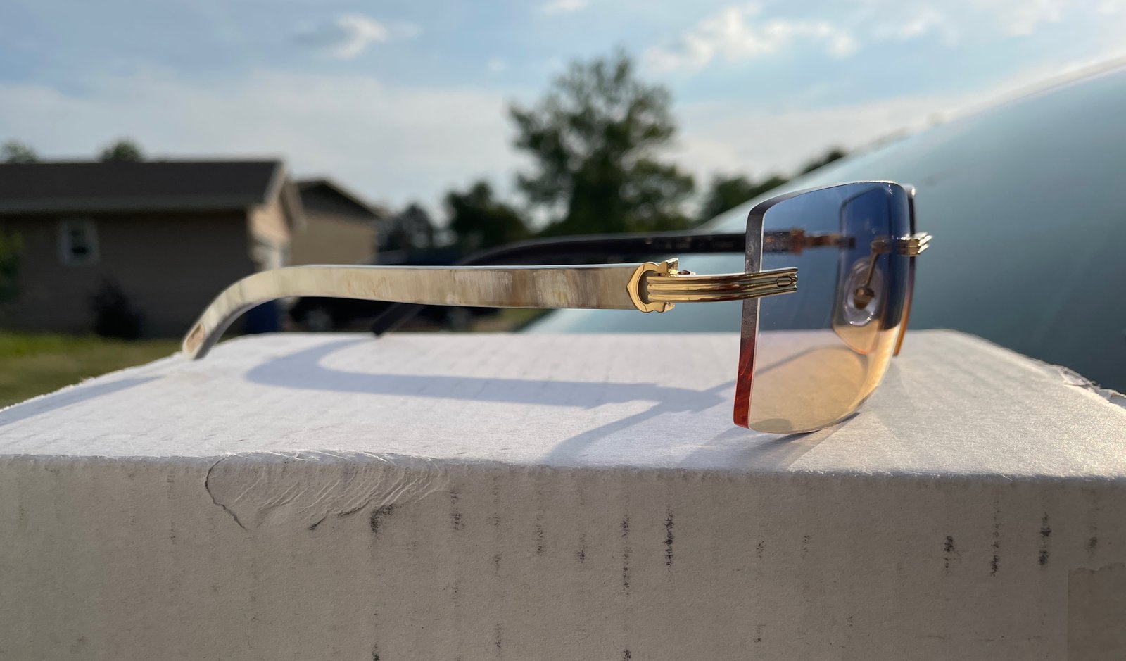AUTHENTIC CARTIER CT0286O 003 - [MIXED HORN] CUSTOM 017 | shabowhita