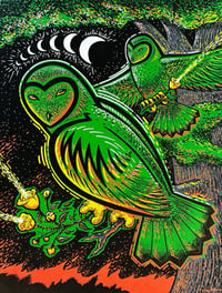 Image 1 of Owlllll