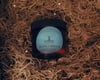 Beard Butter 2oz