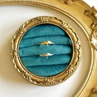 Image 2 of SCALEBORNE