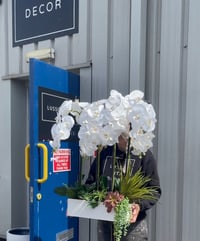 Image 1 of Lux orchid flower box 