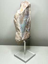 Image 2 of Andamooka Opal Painted Lady Display Piece #2645