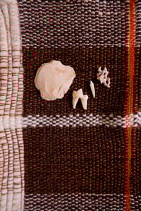 Image 1 of Ritual Set: Earth Light