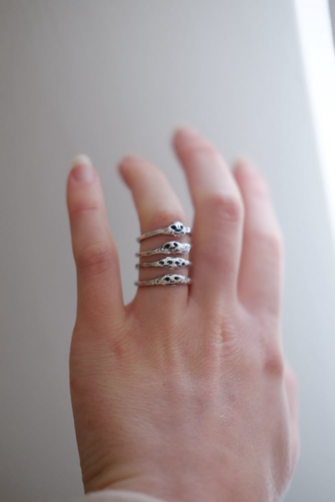 Image of Arianrhod ring • size M
