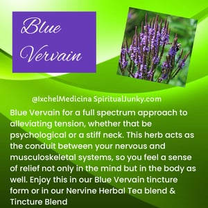 Image of Nervine Healing Set