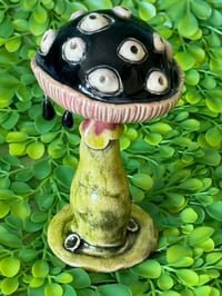 Image 2 of Black Mushroom with Eyes and dangling dew