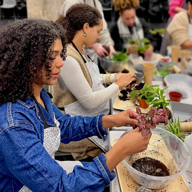 Kokedama - Crafting Living Decor