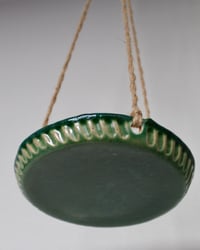 Image 2 of 'Rayitos Verdes' Hanging Tray